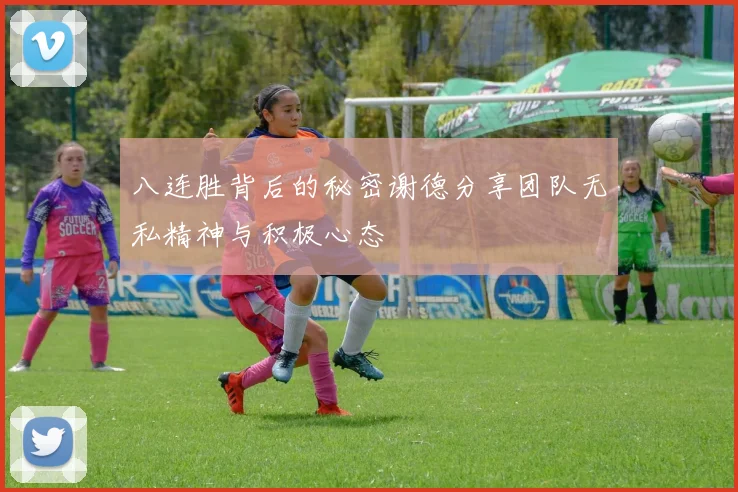 八连胜背后的秘密谢德分享团队无私精神与积极心态