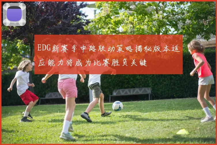 EDG新赛季中路联动策略揭秘版本适应能力将成为比赛胜负关键